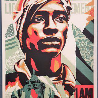 Shepard Fairey, Voting Rights are Human Rights