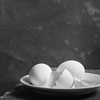 Shine Huang, Egg Study 5