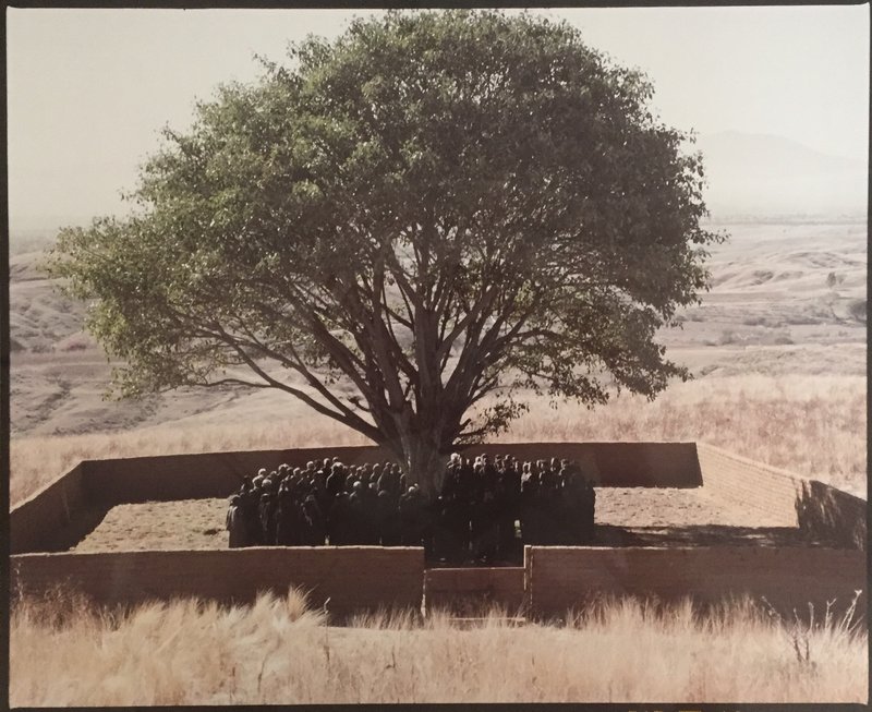 Shirin Neshat From the "Tooba" Series for Sale Artspace