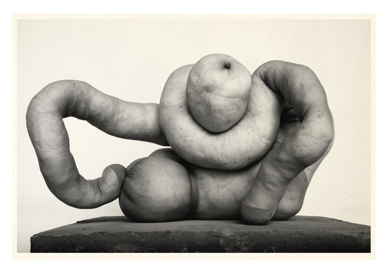 Julian Simmons Oaxaca Nud 2 Julian Simmons Oaxaca Nud 2