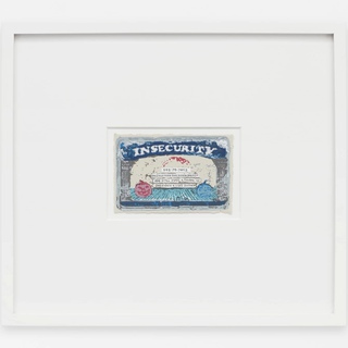 Simon Evans™, Insecurity Card