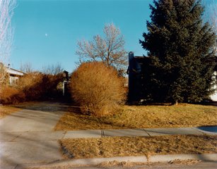 stephen-shore-north-black-