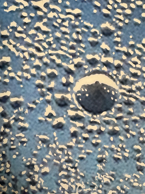 view:90095 - Steven Steinman, Fly-By I - 