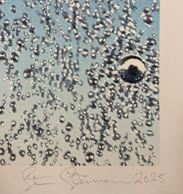 view:90096 - Steven Steinman, Fly-By I - 