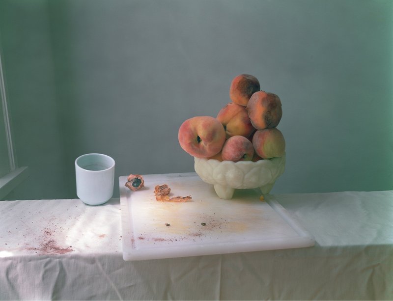 view:1010 - The Renaissance Society, The Renaissance Society Photography Portfolio - Laura Letinsky Untitled #49, 2002