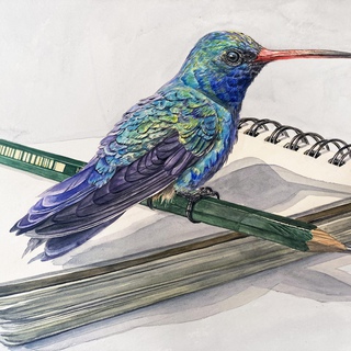 Thomas Broadbent, "Note Taking" Hummingbird