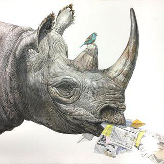 Rhino art for sale