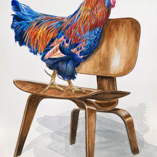 Rooster on Chair art for sale