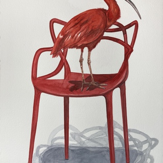 Thomas Broadbent, Scarlet Ibis, Red Chair