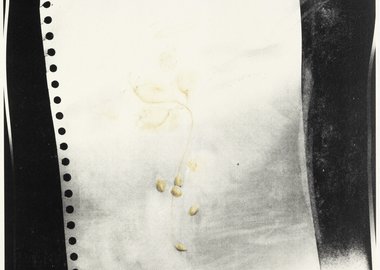 work by Thomas Helbig - Blüten #:29632