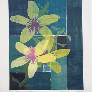 Thomas Kilpper, Against Depression (St. John's Wort)