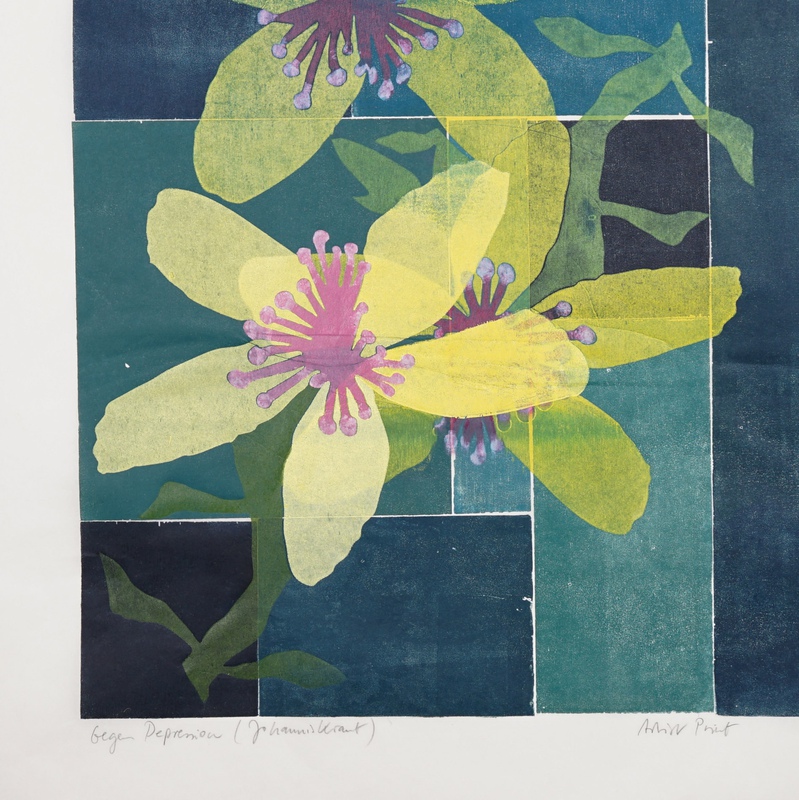 view:90007 - Thomas Kilpper, Against Depression (St. John's Wort) - 