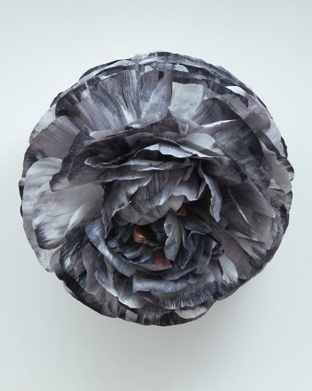 Tiffanie Turner - Byproduct/Burnt Offerings (Ranunculus) for Sale ...