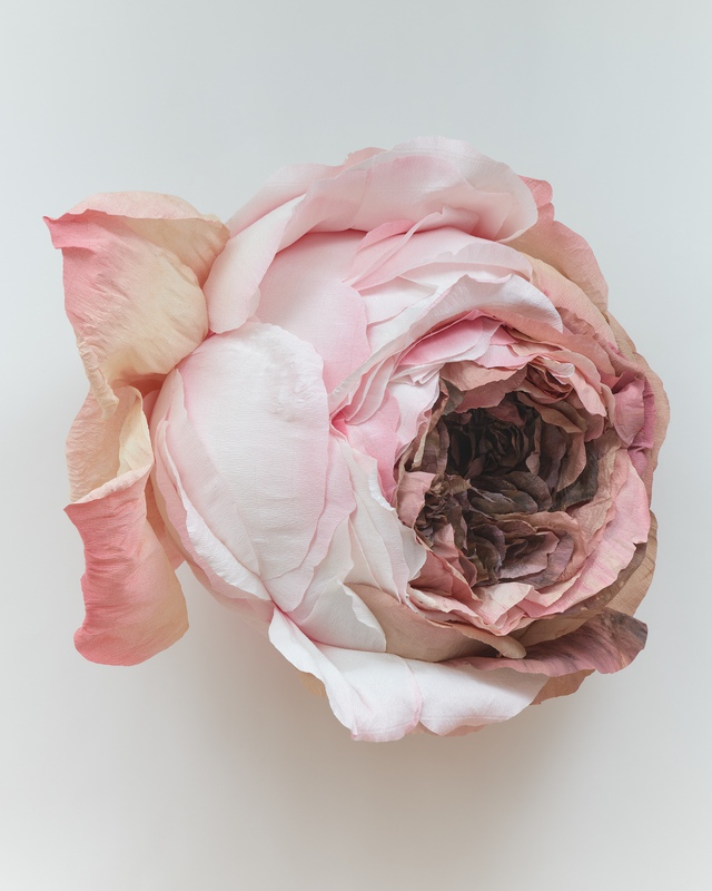 Tiffanie Turner - Excerpt from Still Life with Flowers on a Marble ...