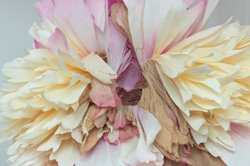 Italian Crepe Paper Flowers By Tiffanie Turner