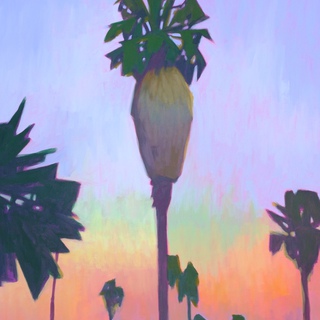 Timm Blandin, Palms and Sunset