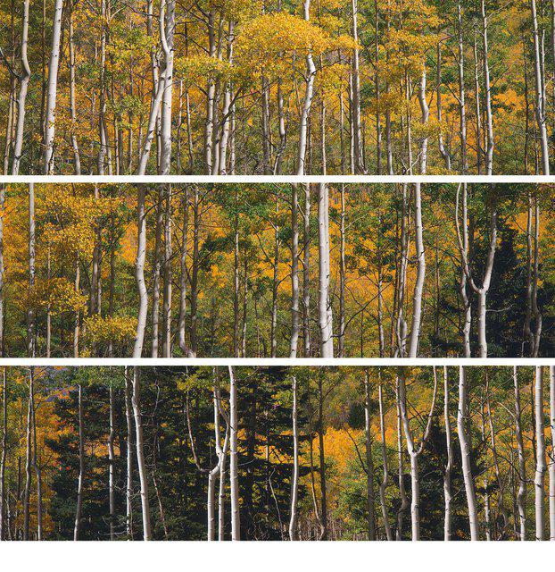 Timothy Hearsum - Trio #9, Photograph