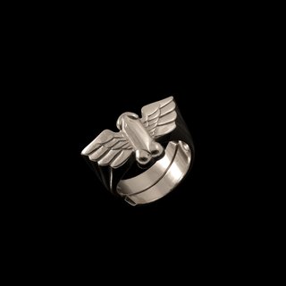 Jonathan Johnson x Tom of Finland FLYING COCK Ring in Rhodium Plated Brass art for sale
