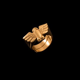 Jonathan Johnson x Tom of Finland FLYING COCK Ring in 23kt Gold Plated Brass art for sale