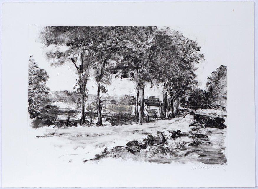 Tony Scherman - Landscape X, Print