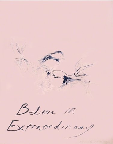 Tracey Emin - Believe in Extraordinary