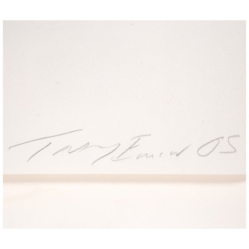 view:62124 - Tracey Emin, If I Could Just Go Back & Start Again - 