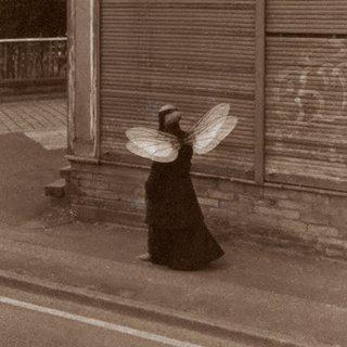 Uri Gershuni, Untitled (from the series: Butterfly Effect)