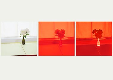 Uta Barth - Untitled 02 1 for Sale | Artspace