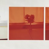 Uta Barth - Untitled-2005A for Sale | Artspace
