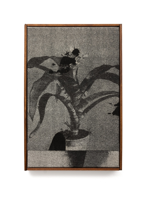 Pot Plant no.19