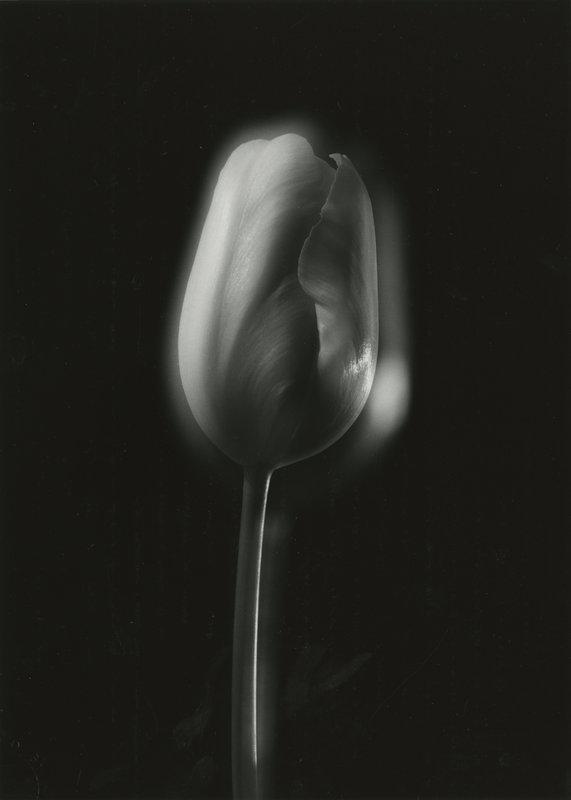 exhibition - Tokyo, 1987-1995