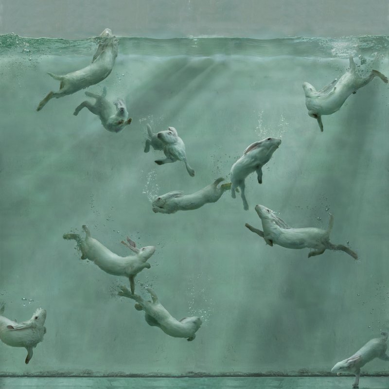 exhibition - Aquarium 25