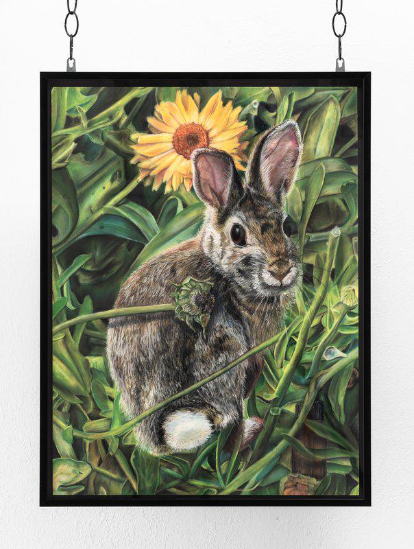 show image - Cottontail with Pot-Marigolds