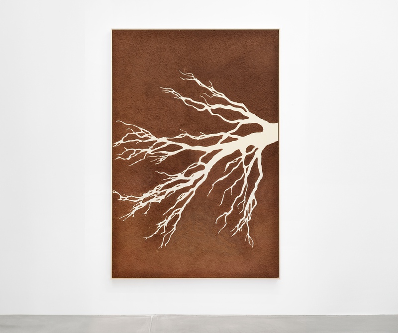 picture of the exhibition location Here Comes the Tree (roots paintings), 2025