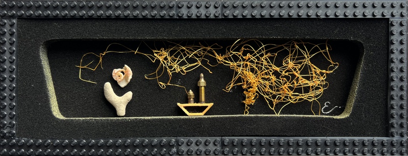picture of the exhibition location World Enough, and Time Mixed Media including black foam, polylactic acid (PLA), coral, shell, 3D printer brass nozzle heads 5.5" x 14" x 1.25" 2023.retail price:$420
