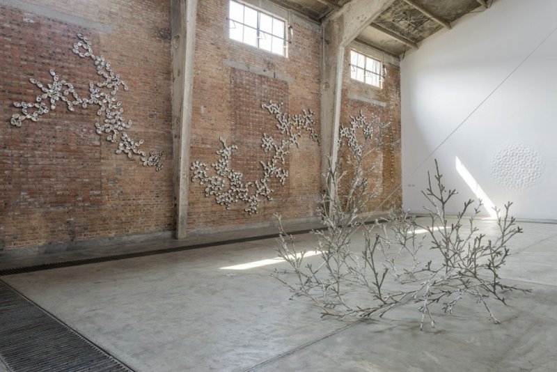 picture of the exhibition location The Ineffable gardener and inherent transience, 2013