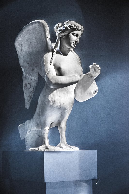 picture of the exhibition location Mulher, Mármore ou Pássaro/Woman, Marble or Bird, 2017-2020