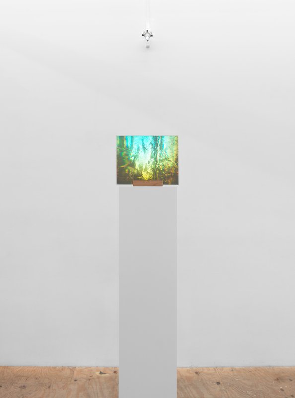 picture of the exhibition location Cassadaga 2, 2010 glass, light 10 x 11.5 inches (25.40 x 29.21 cm) Edition 1/5