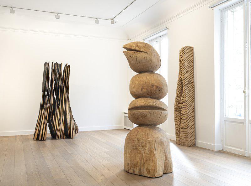 exhibition - The Many Voices of the Trees