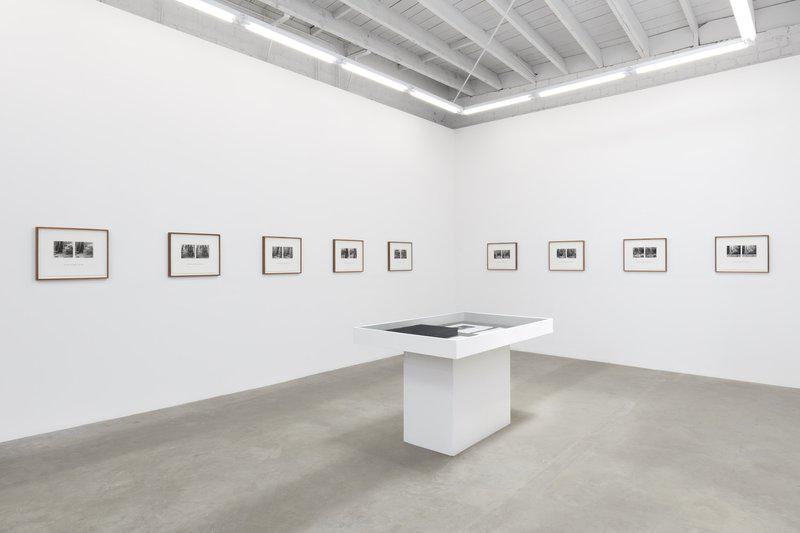 exhibition - SUSAN SILTON: WE
