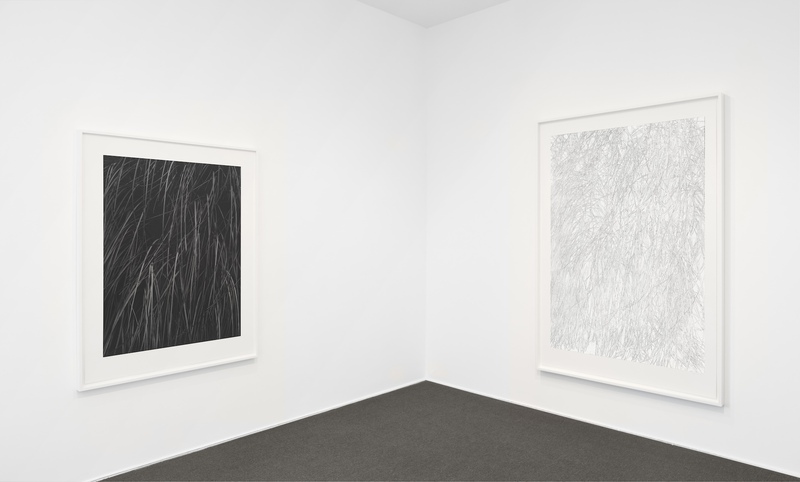 exhibition - Toba Khedoori - New Editions