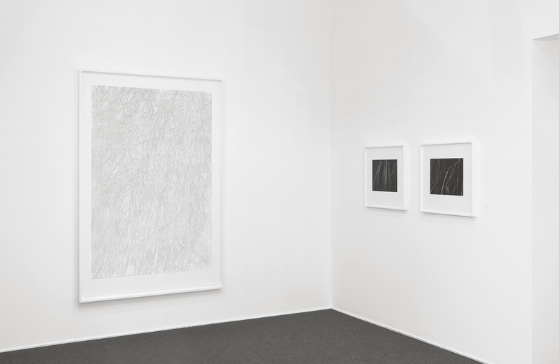 exhibition - Toba Khedoori - New Editions