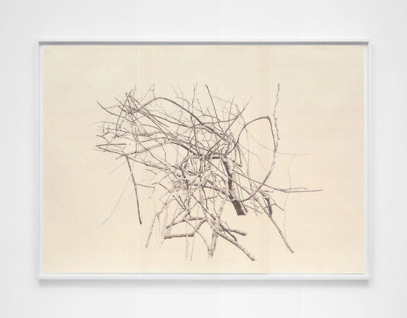 exhibition - Toba Khedoori - New Editions