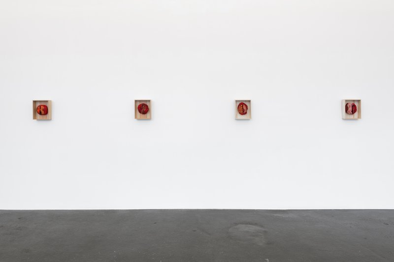 exhibition - Truly Indispensable