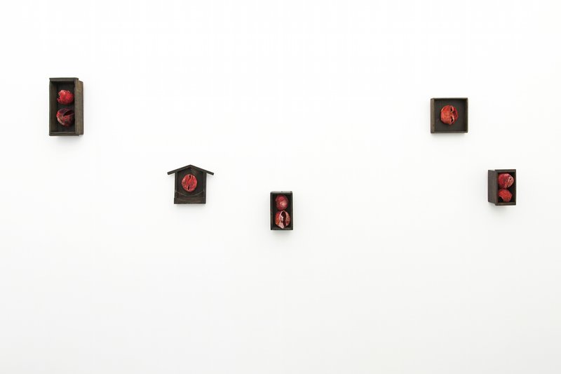 exhibition - Truly Indispensable