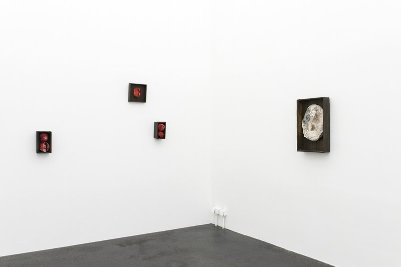 exhibition - Truly Indispensable