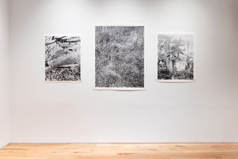 exhibition - Polemics of the Landscape