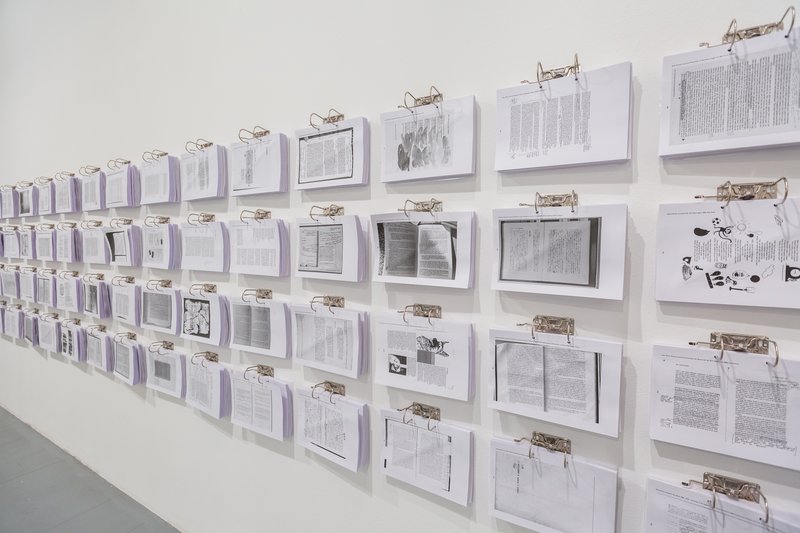 exhibition - THE ANNOTATED READER curated by Ryan Gander and Jonathan P. Watts
