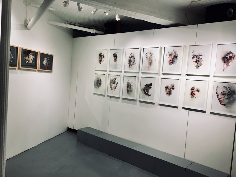 exhibition - 'Hedgehog's Skin'