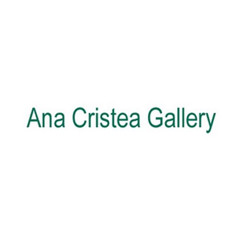 partner name or logo : Ana Cristea